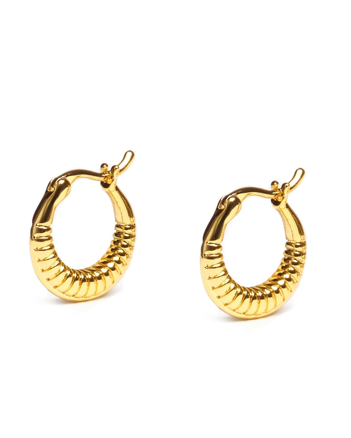 Timeless Mini Hoops